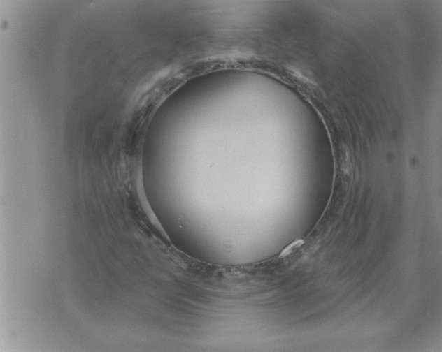 X0000071831398200607290030