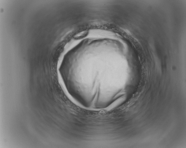 X0000071831399200607290030