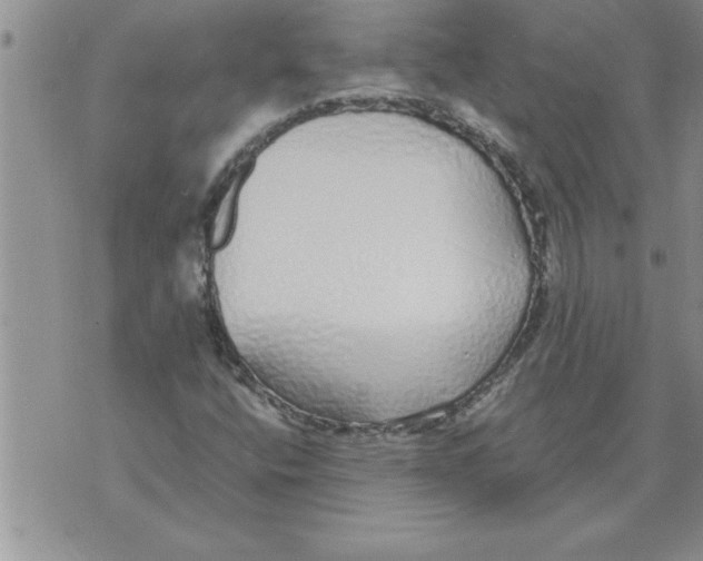 X0000071831400200607290030