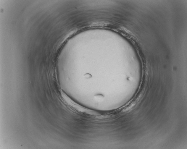 X0000071831401200607290031