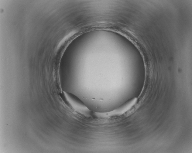 X0000071831402200607290031