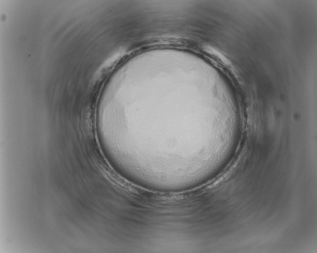 X0000071831403200607290031