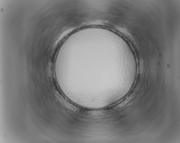 X0000071831404200607290031