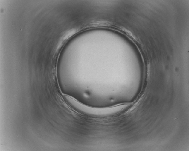 X0000071831405200607290031