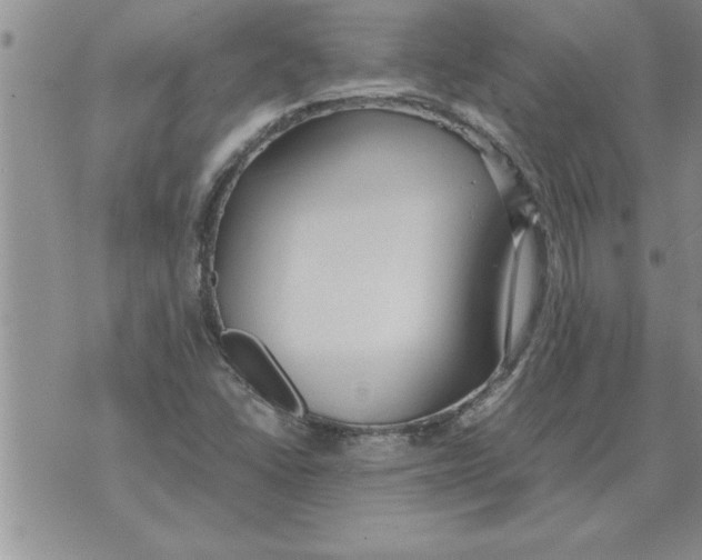 X0000071831406200607290031