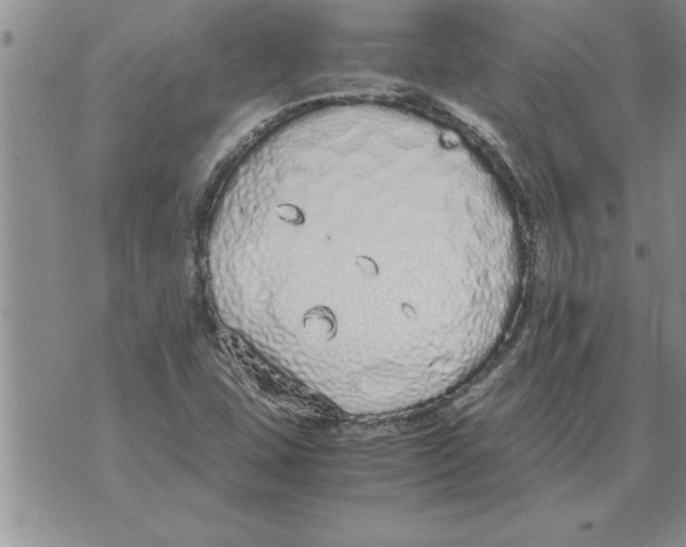 X0000071831407200607290031