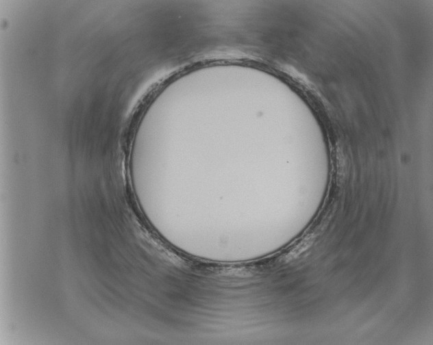 X0000071831408200607290031