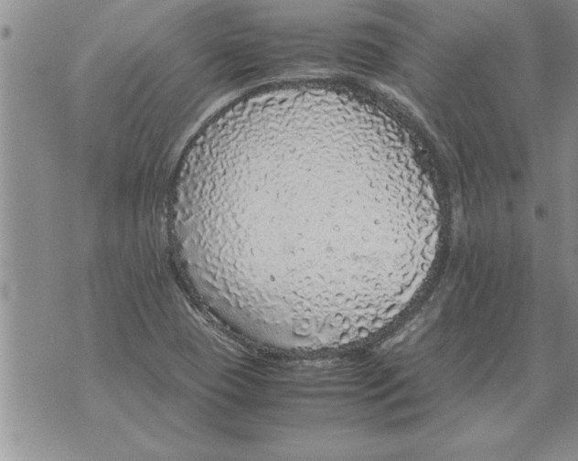 X0000071831409200607290031