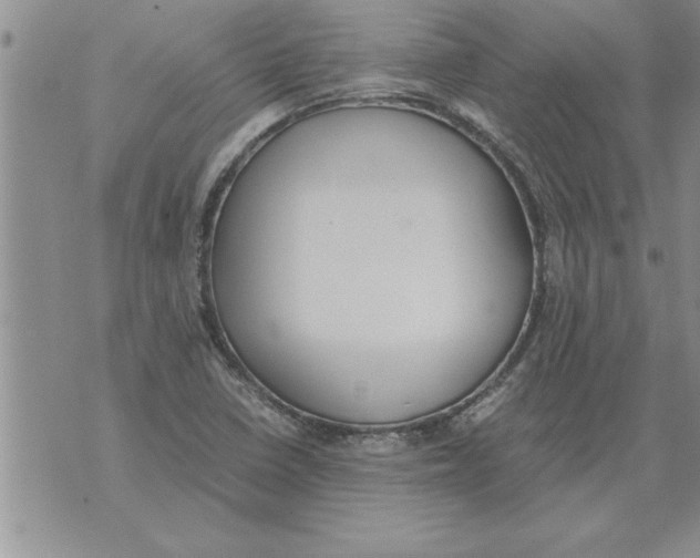 X0000071831410200607290031