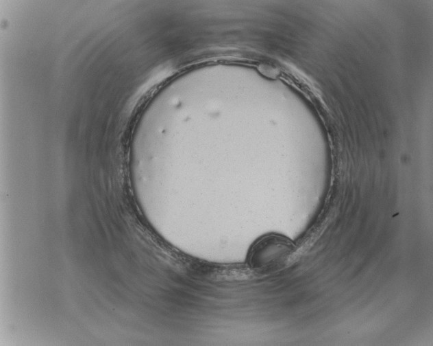 X0000071831411200607290031