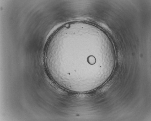 X0000071831412200607290031