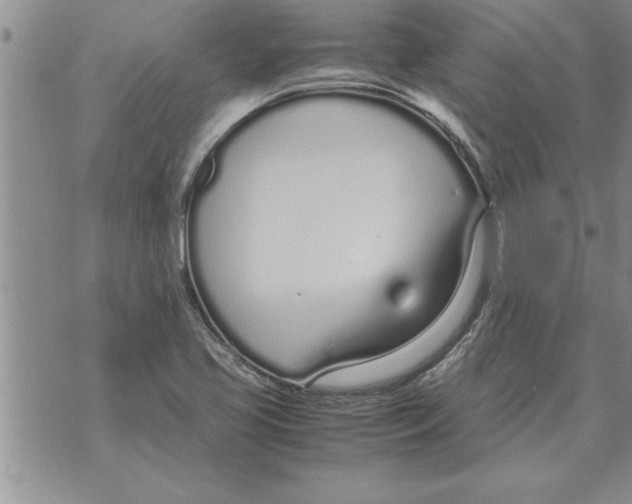 X0000071831413200607290031