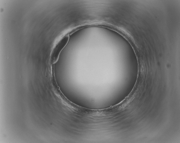 X0000071831414200607290031