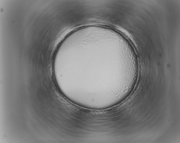 X0000071831415200607290031