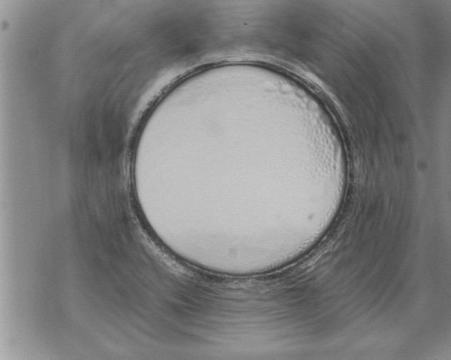 X0000071831416200607290031