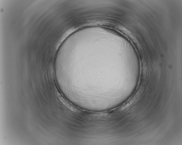 X0000071831417200607290031