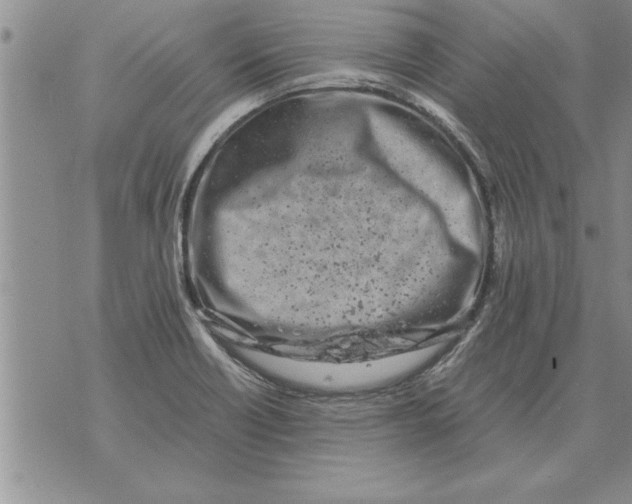 X0000071831418200607290031