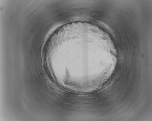 X0000071831419200607290031