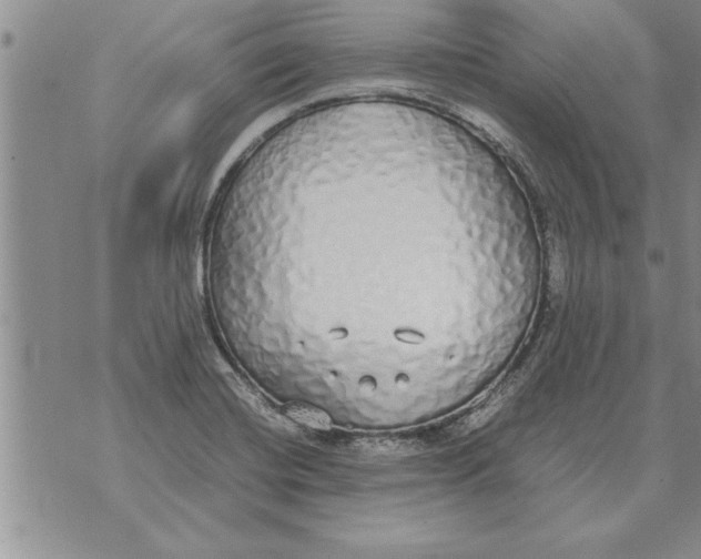 X0000071831420200607290031