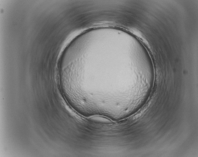 X0000071831421200607290031