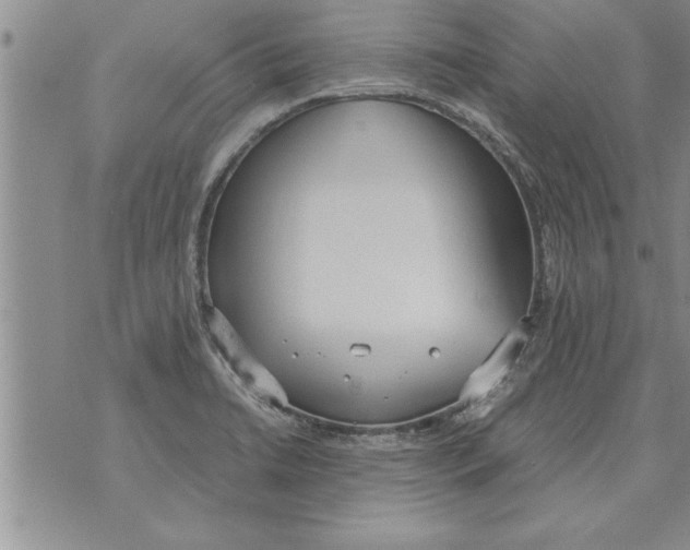 X0000071831422200607290031