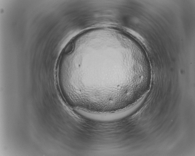 X0000071831423200607290031