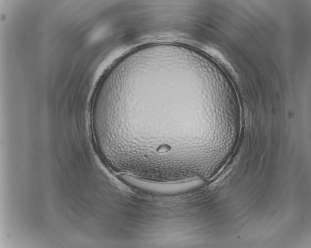 X0000071831424200607290031