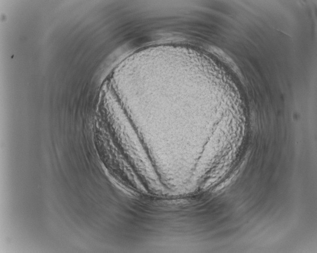 X0000071831425200607290031