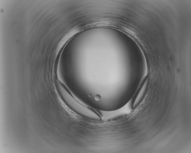 X0000071831426200607290031