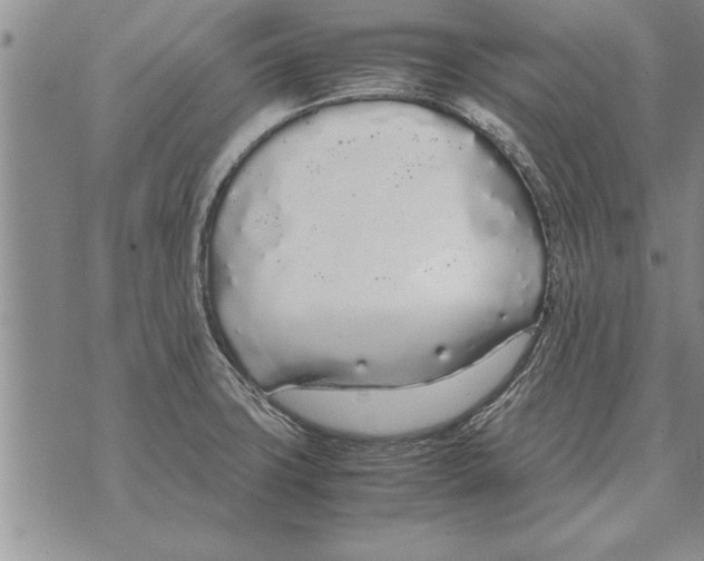 X0000071831427200607290031