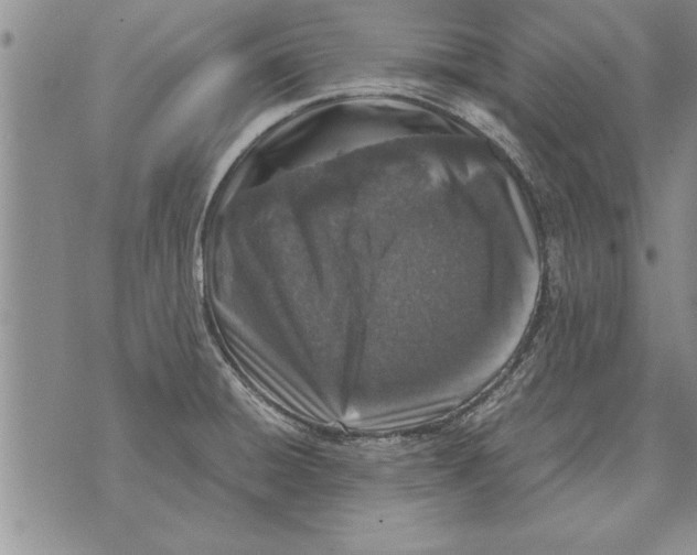 X0000071831428200607290031