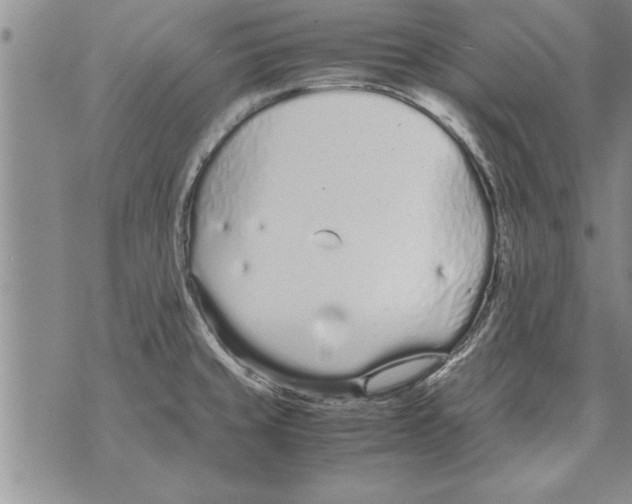 X0000071831429200607290031