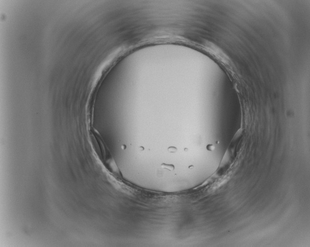 X0000071831430200607290031