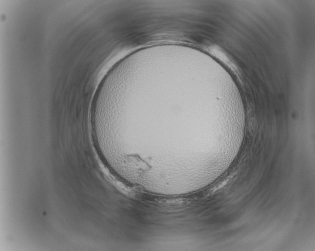 X0000071831431200607290031