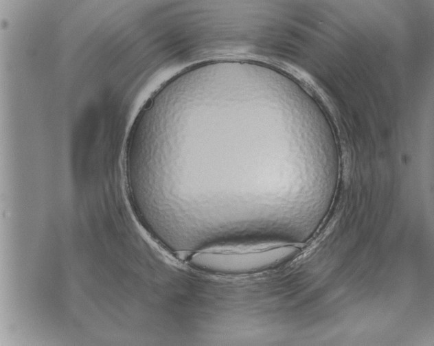 X0000071831432200607290031