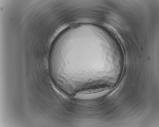 X0000071831433200607290031