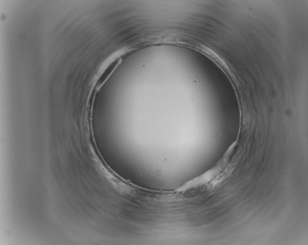 X0000071831434200607290031