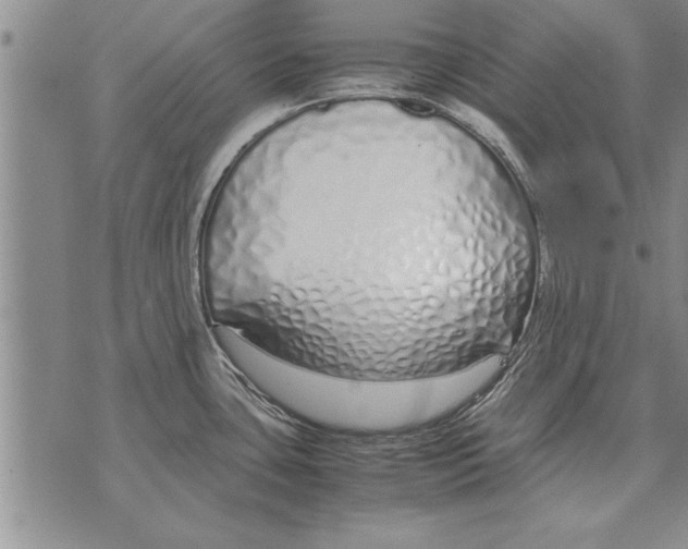 X0000071831435200607290031