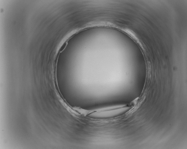 X0000071831438200607290031