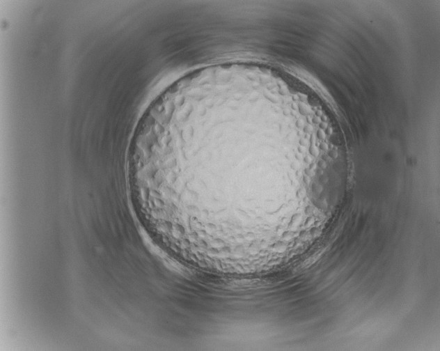 X0000071831439200607290031