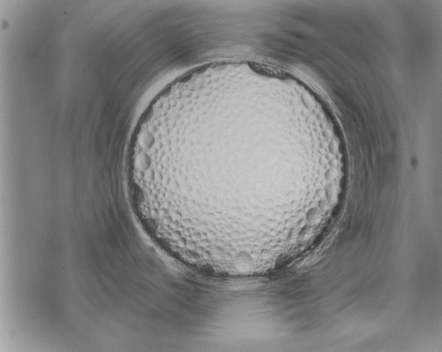 X0000071831440200607290031