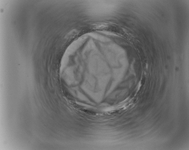 X0000071831441200607290030