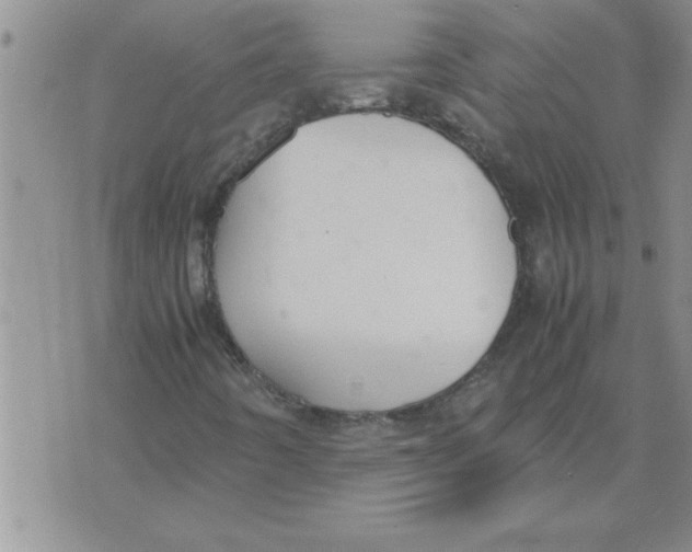 X0000071831442200607290030