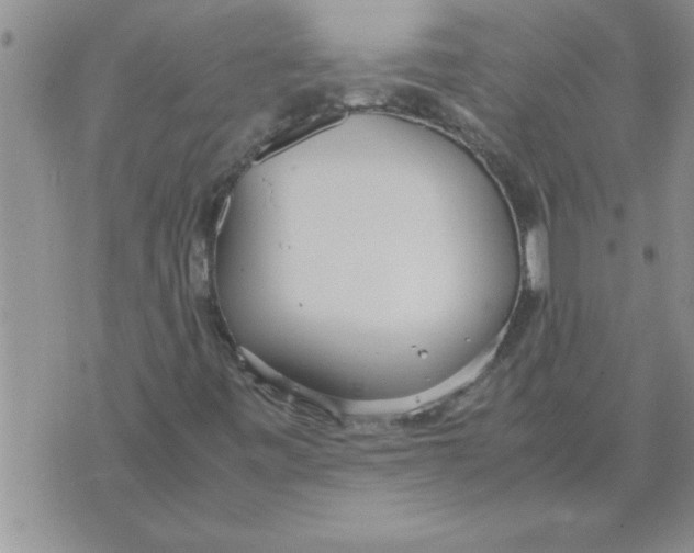 X0000071831443200607290030