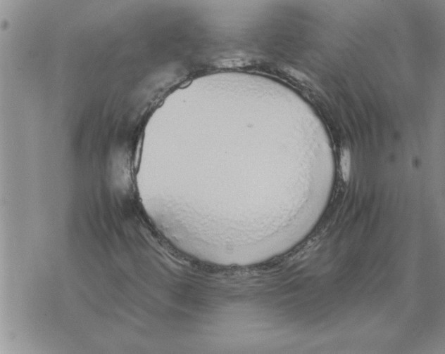 X0000071831444200607290030