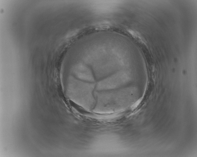 X0000071831445200607290030