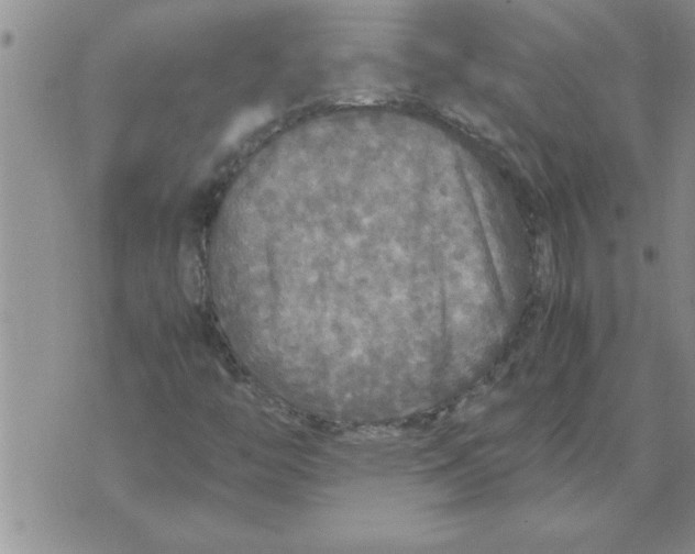 X0000071831446200607290030