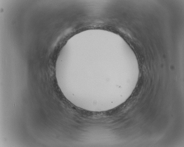 X0000071831447200607290030