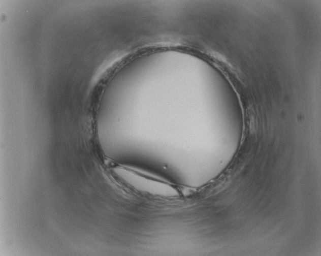 X0000071831448200607290030