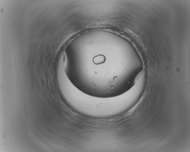 X0000071831449200607290030